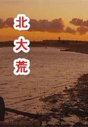 成人直播盒子
