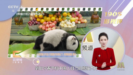 腥红假期